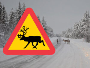 varning_ren