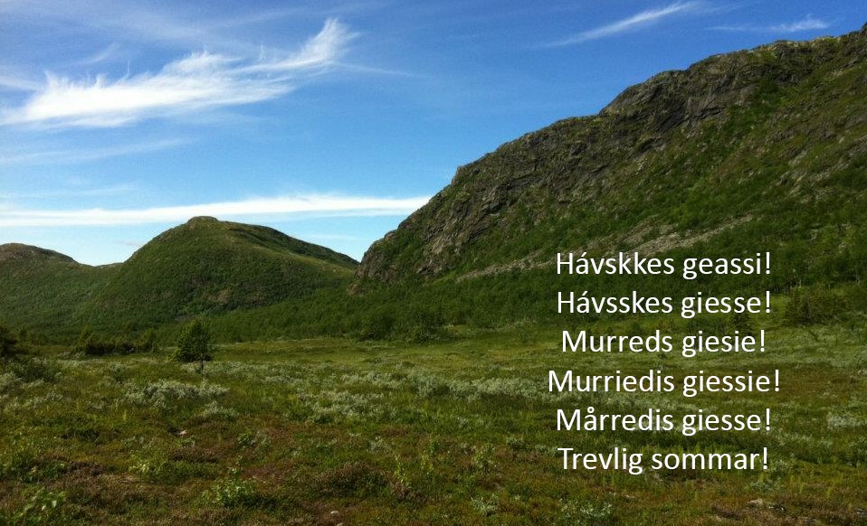 SSRs Nyhetsbrev juni-juli 2022