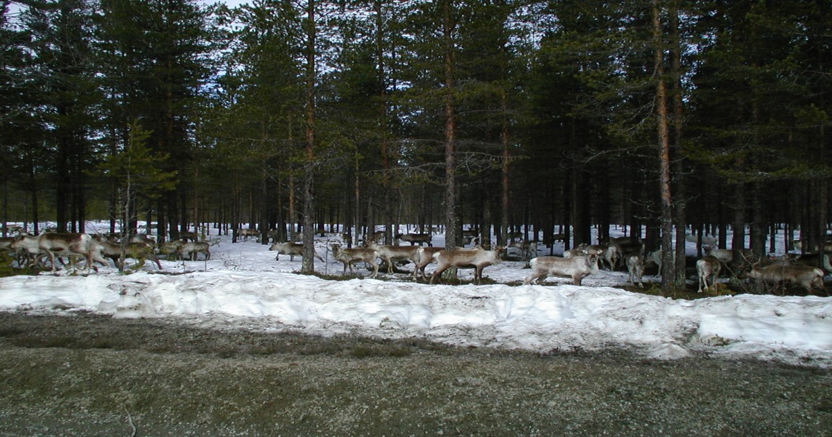 renarnaturbete
