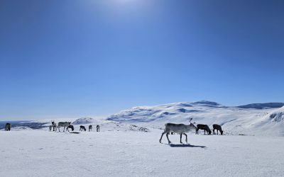 Statens ändrade inställning förvånar